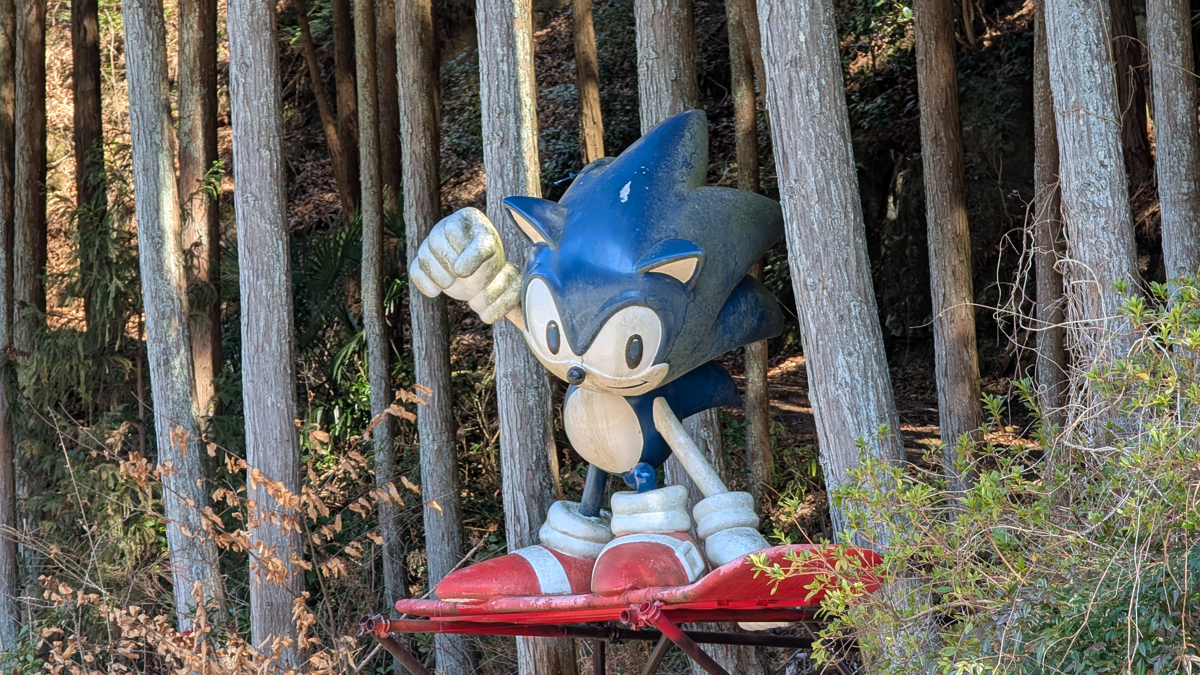 導師ロッキー羽田